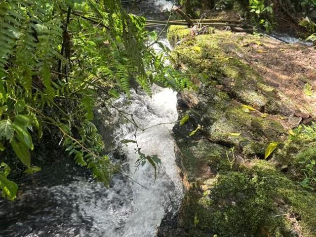 Sítio e chácara venda em Almirante Tamandaré, Região Geográfica Intermediária de Curitiba