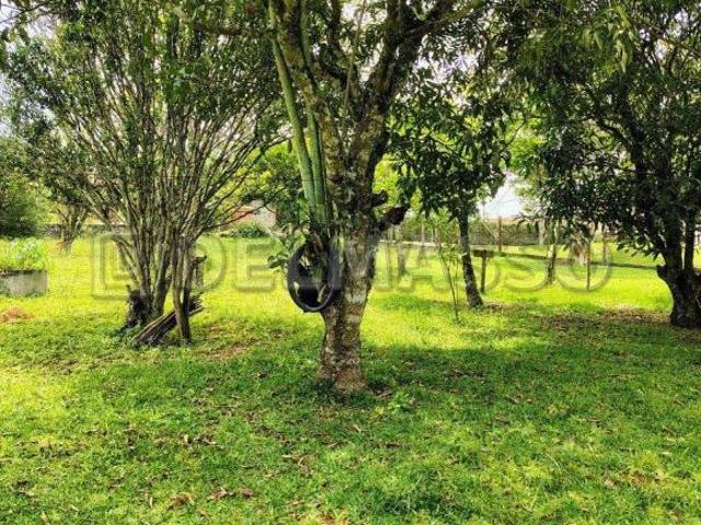 Sítio e chácara venda em Região Imediata de Sorocaba, Região Metropolitana de Sorocaba