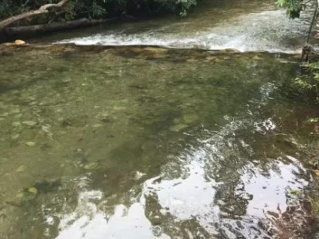 Fazenda venda em Região Geográfica Imediata de Cuiabá, Região Metropolitana do Vale do Rio Cuiabá