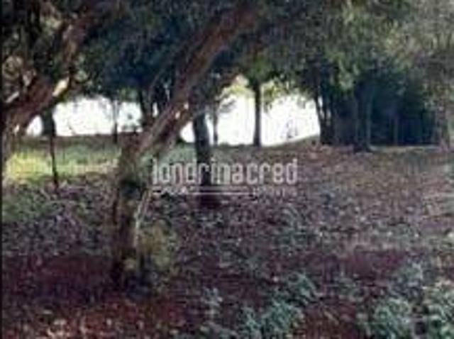 Sítio e chácara venda em Região Geográfica Imediata de Londrina, Londrina
