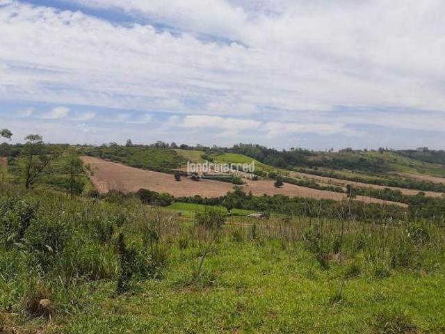 Sítio e chácara venda em Região Geográfica Imediata de Londrina, Londrina