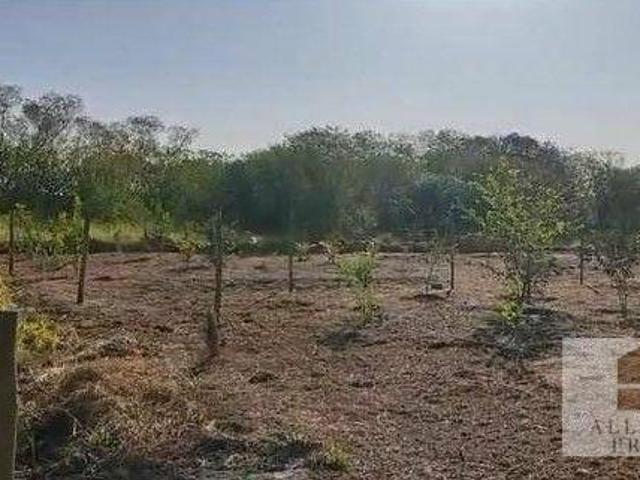 Sítio e chácara venda em Região Imediata de São José do Rio Preto, Região Metropolitana de São José do Rio Preto