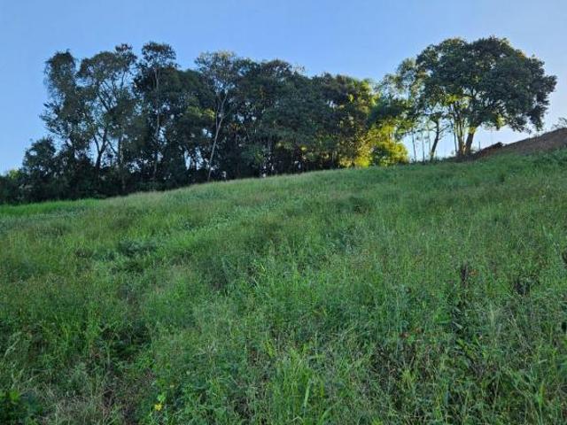 Sítio e chácara venda em Região Geográfica Imediata de Curitiba, Região Metropolitana de Curitiba