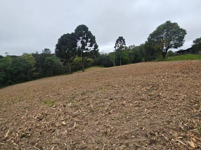 Sítio e chácara venda em Região Geográfica Imediata de Curitiba, Região Metropolitana de Curitiba