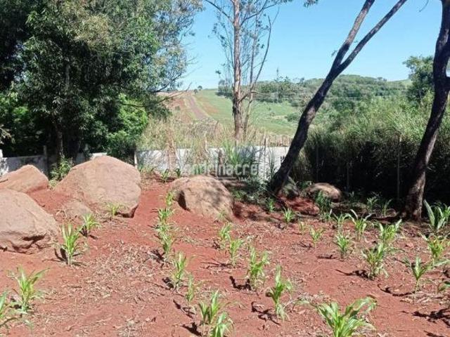 Sítio e chácara venda em Região Geográfica Imediata de Londrina, Londrina