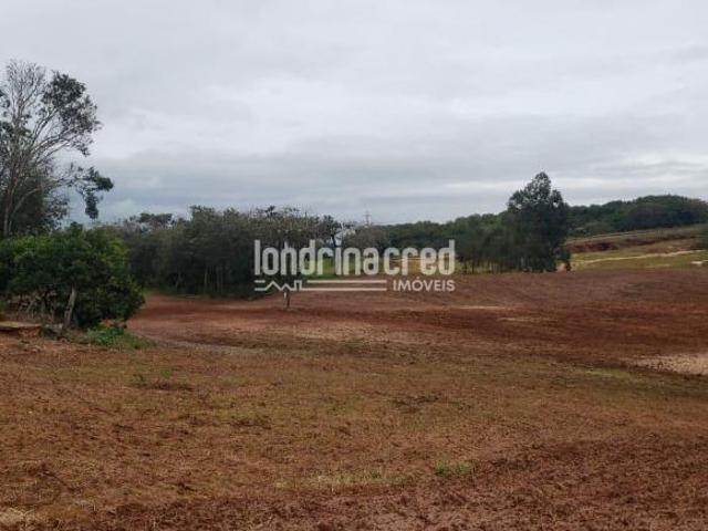 Sítio e chácara venda em Região Geográfica Imediata de Ivaiporã, Faxinal