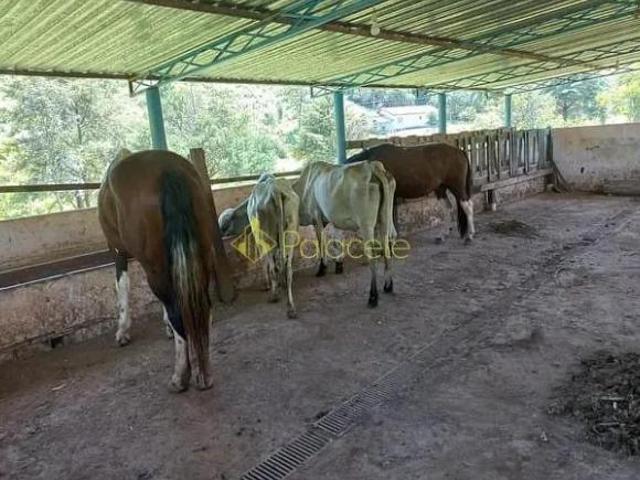 Sítio e chácara venda em Região Imediata de Taubaté-Pindamonhangaba, Região Metropolitana do Vale do Paraíba e Litoral Norte