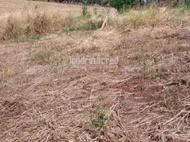 Sítio e chácara venda em Região Geográfica Imediata de Londrina, Londrina