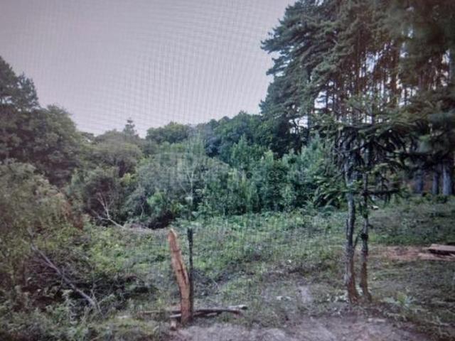 Sítio e chácara venda em Região Geográfica Imediata de Curitiba, Região Metropolitana de Curitiba