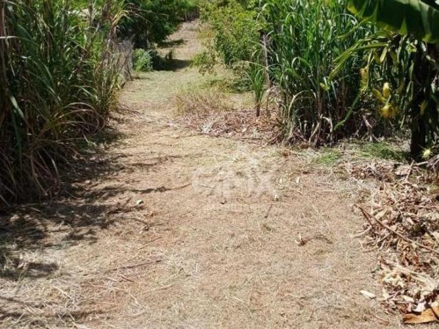 Sítio e chácara venda em Região Geográfica Imediata de Cornélio Procópio-Bandeirantes, Cornélio Procópio
