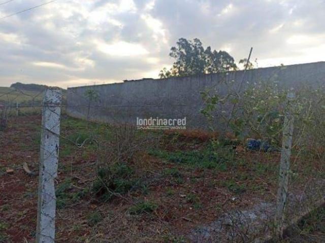 Sítio e chácara venda em Região Geográfica Imediata de Londrina, Londrina