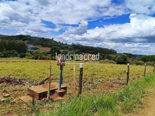 Sítio e chácara venda em Região Geográfica Imediata de Londrina, Ibiporã