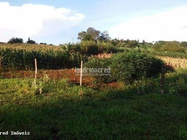Sítio e chácara venda em Região Geográfica Imediata de Londrina, Londrina