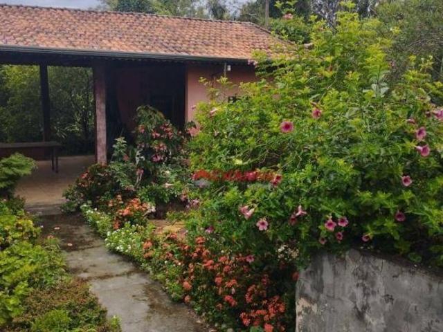 Sítio e chácara venda em Região Imediata de Campinas, Região Metropolitana de Campinas