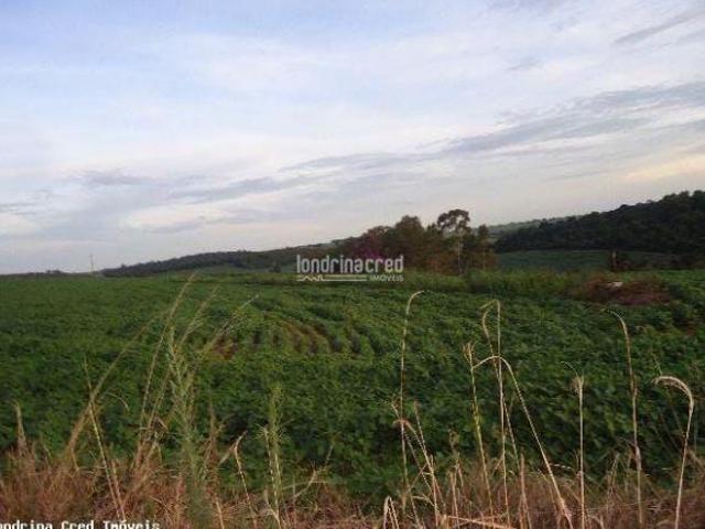 Sítio e chácara venda em Região Geográfica Imediata de Londrina, Londrina