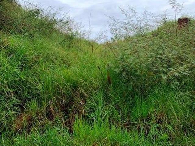 Sítio e chácara venda em Região Imediata de Taubaté-Pindamonhangaba, Região Metropolitana do Vale do Paraíba e Litoral Norte