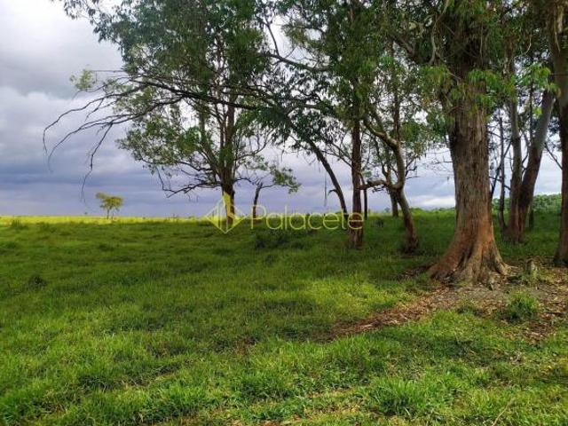 Sítio e chácara venda em Pindamonhangaba