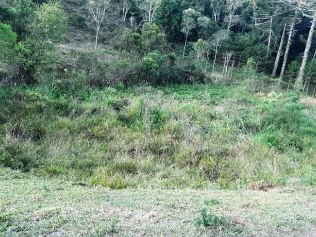 Sítio e chácara venda em Região Imediata de Guaratinguetá, Região Metropolitana do Vale do Paraíba e Litoral Norte