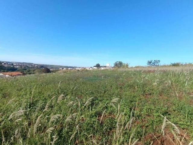 Sítio e chácara venda em Assaí, Região Geográfica Intermediária de Londrina