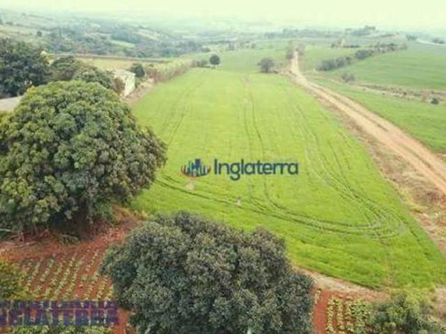 Sítio e chácara venda em Região Geográfica Imediata de Cornélio Procópio-Bandeirantes, Nova América da Colina