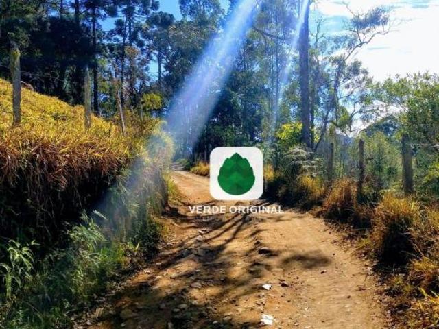 Sítio e chácara venda em Região Imediata de Taubaté-Pindamonhangaba, Região Metropolitana do Vale do Paraíba e Litoral Norte