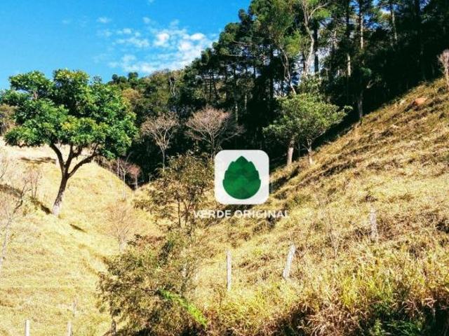 Sítio e chácara venda em São Bento do Sapucaí, São Paulo