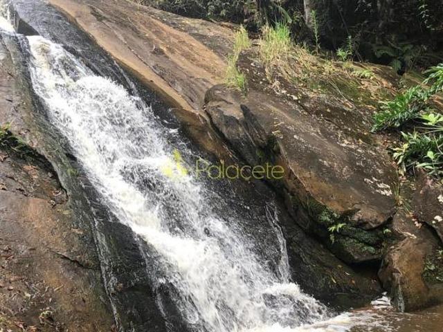Sítio e chácara venda em Região Imediata de Taubaté-Pindamonhangaba, Região Metropolitana do Vale do Paraíba e Litoral Norte
