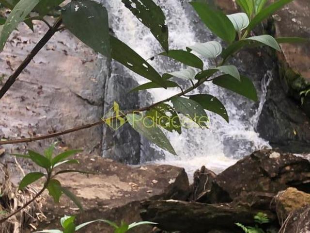 Sítio e chácara venda em Região Imediata de Taubaté-Pindamonhangaba, Região Metropolitana do Vale do Paraíba e Litoral Norte