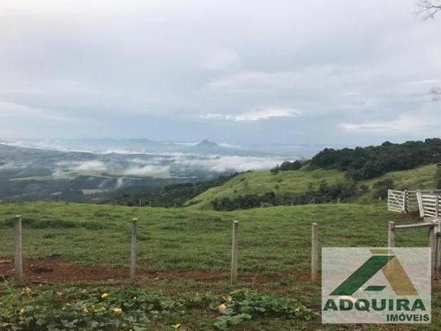 Sítio e chácara venda em Cândido de Abreu, Região Geográfica Intermediária de Londrina