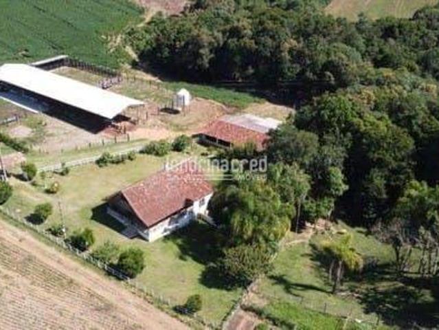 Sítio e chácara venda em Região Geográfica Imediata de Londrina, Londrina