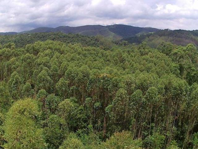 Sítio e chácara venda em Região Imediata de São José dos Campos, Região Metropolitana do Vale do Paraíba e Litoral Norte