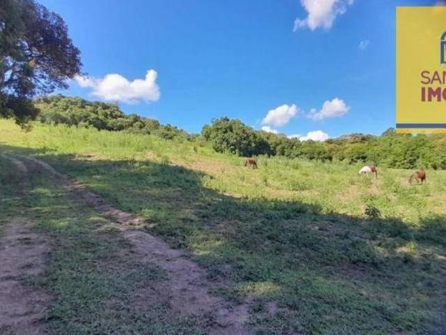 Sítio e chácara venda em Bateias, Campo Largo
