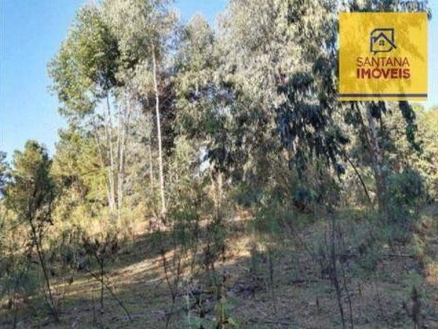 Sítio e chácara venda em Região Geográfica Imediata de Curitiba, Região Metropolitana de Curitiba