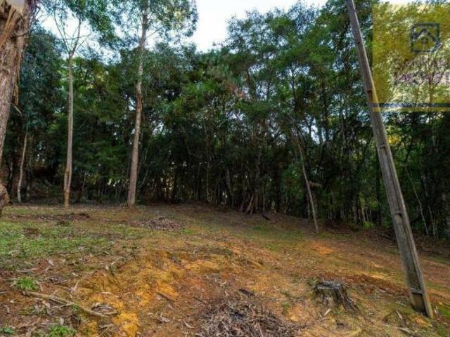 Sítio e chácara venda em Nossa Senhora do Pilar, Campo Largo