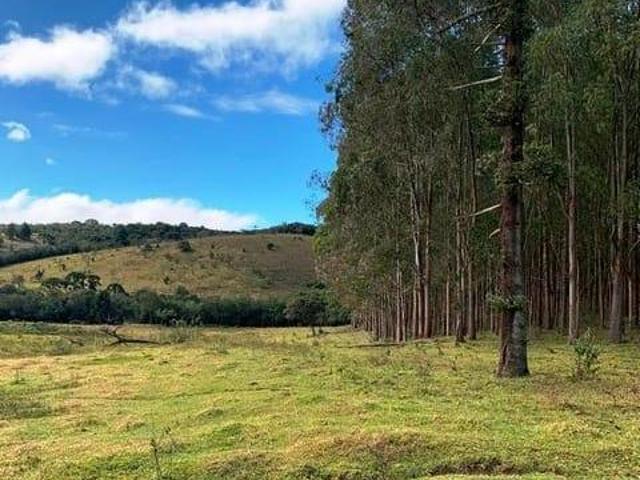 Sítio e chácara venda em Região Imediata de Guaratinguetá, Região Metropolitana do Vale do Paraíba e Litoral Norte