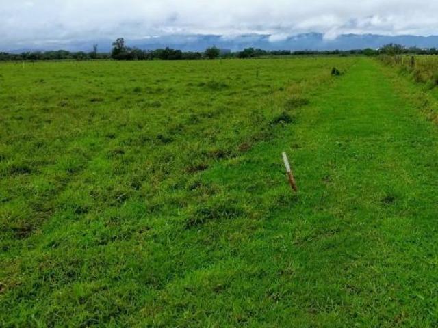 Sítio e chácara venda em Região Imediata de Taubaté-Pindamonhangaba, Região Metropolitana do Vale do Paraíba e Litoral Norte