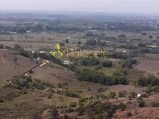 Sítio e chácara venda em Pindamonhangaba