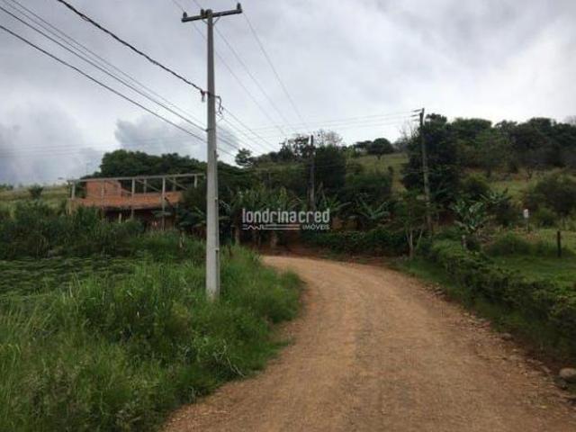 Sítio e chácara venda em Região Geográfica Imediata de Londrina, Londrina