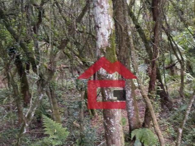 Sítio e chácara venda em Região Imediata de Sorocaba, Região Metropolitana de Sorocaba