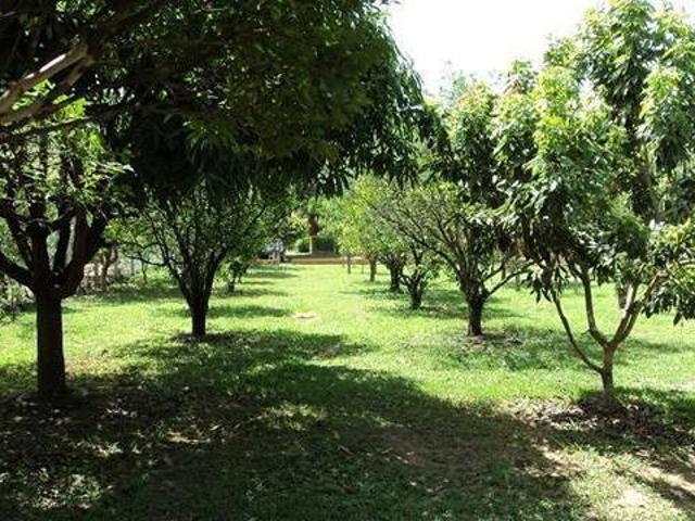 Sítio e chácara venda em Região Imediata de Sorocaba, Região Metropolitana de Sorocaba
