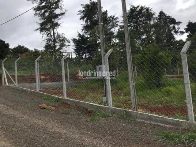 Sítio e chácara venda em Região Geográfica Imediata de Londrina, Londrina