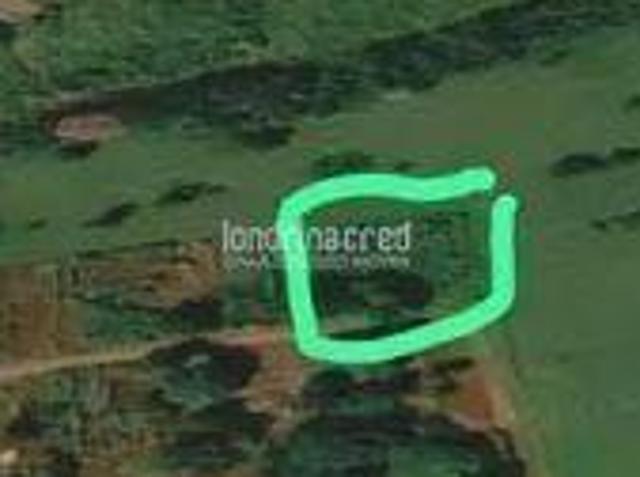 Sítio e chácara venda em Região Geográfica Imediata de Londrina, Londrina