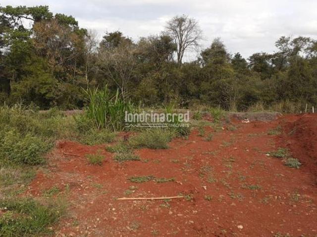 Sítio e chácara venda em Região Geográfica Imediata de Londrina, Londrina