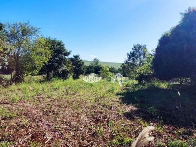 Sítio e chácara venda em Região Geográfica Imediata de Londrina, Londrina