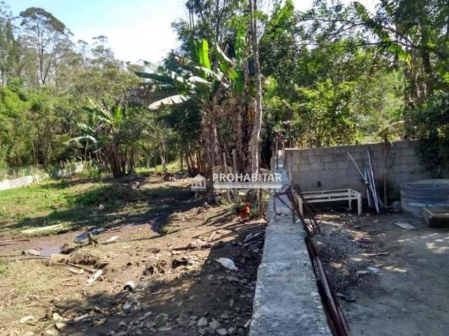 Sítio e chácara venda em São Paulo