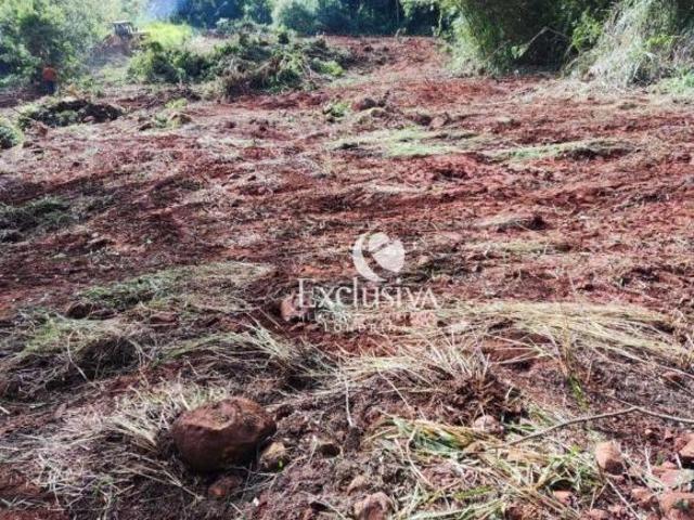 Sítio e chácara venda em Londrina
