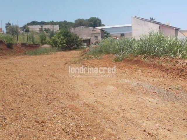 Sítio e chácara venda em Região Geográfica Imediata de Londrina, Ibiporã