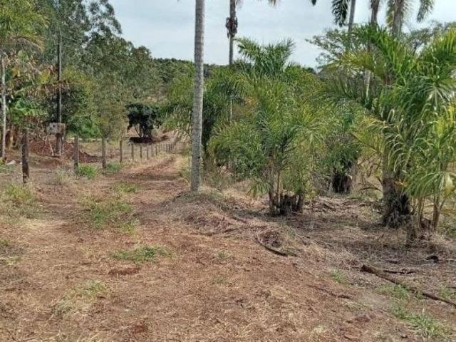 Sítio e chácara venda em Maravilha, Londrina