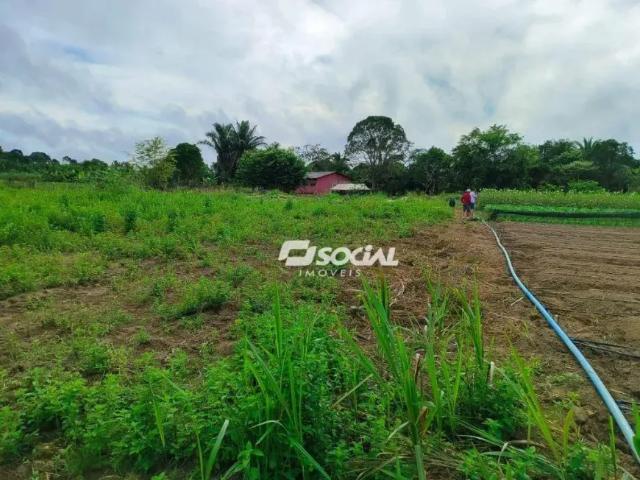 Fazenda venda em Região Geográfica Imediata de Porto Velho, Porto Velho