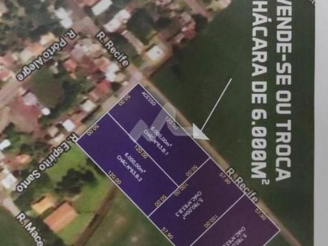 Sítio e chácara venda em Região Geográfica Imediata de Toledo, São Pedro do Iguaçu